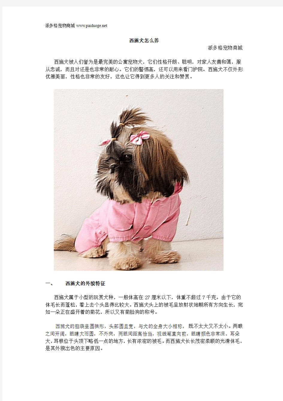 西施犬怎么养