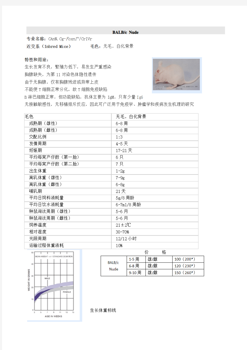 不同裸鼠品系的特征