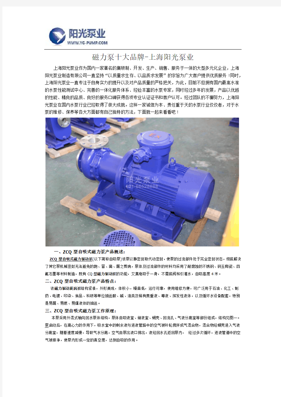磁力泵十大品牌-上海阳光泵业