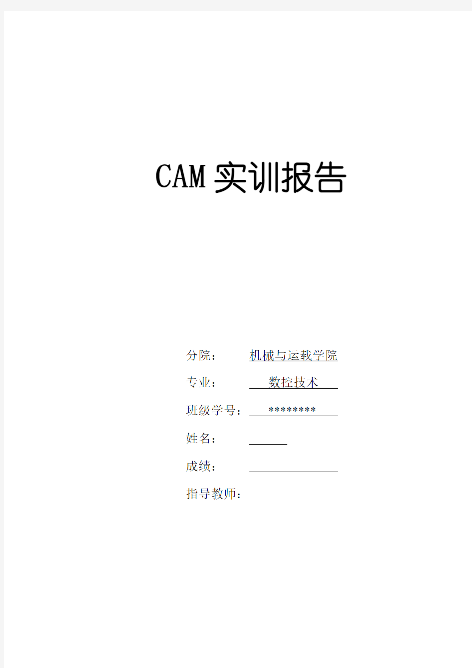 cam实训报告