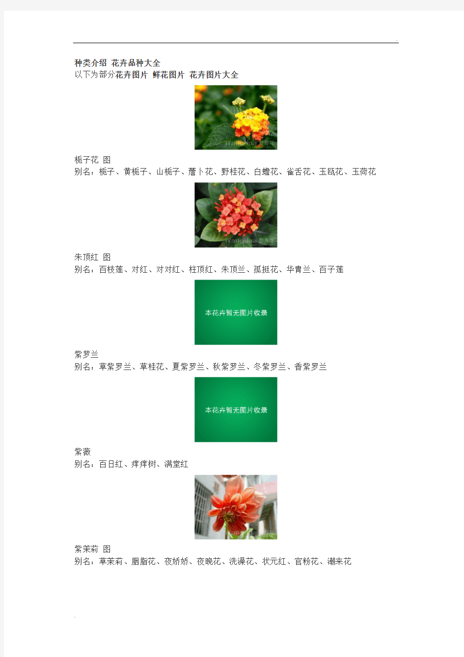 花的种类介绍 花卉品种大全 鲜花图片 花卉图片大全