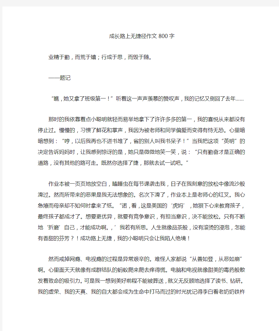 成长路上无捷径优秀作文800字