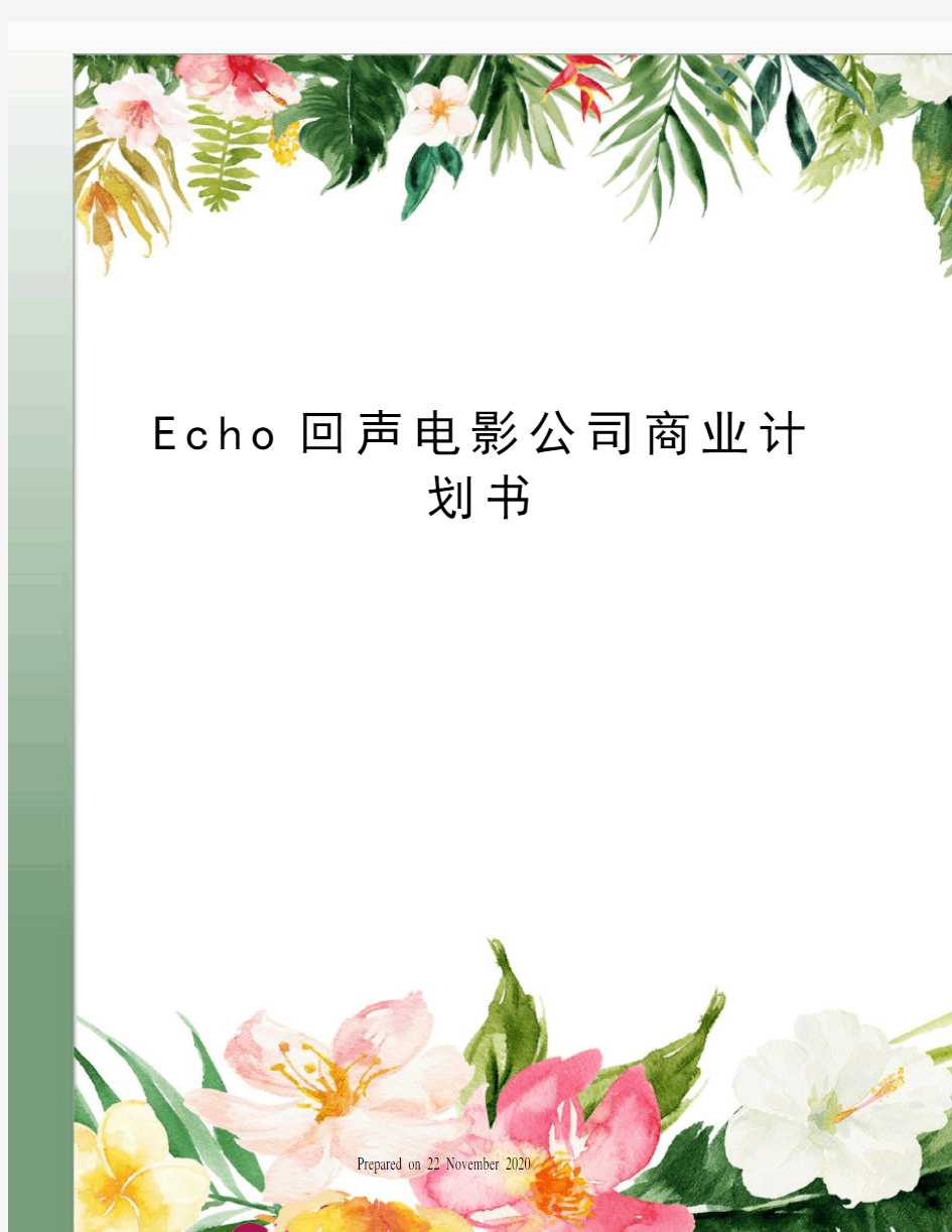 Echo回声电影公司商业计划书