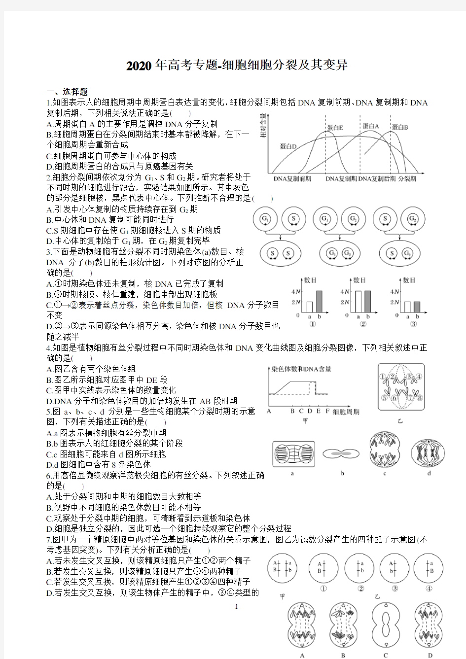 2020年高考生物专题测试 细胞分裂及变异 (含答案)