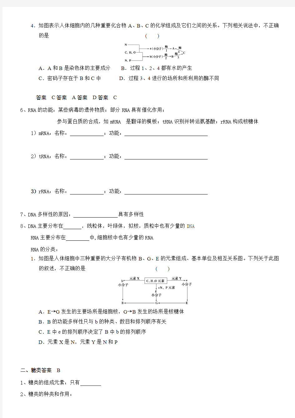 第4讲 核酸、糖类和脂质