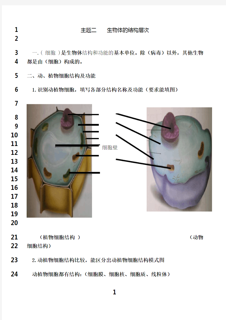 最新人教版初中生物知识点归纳总结