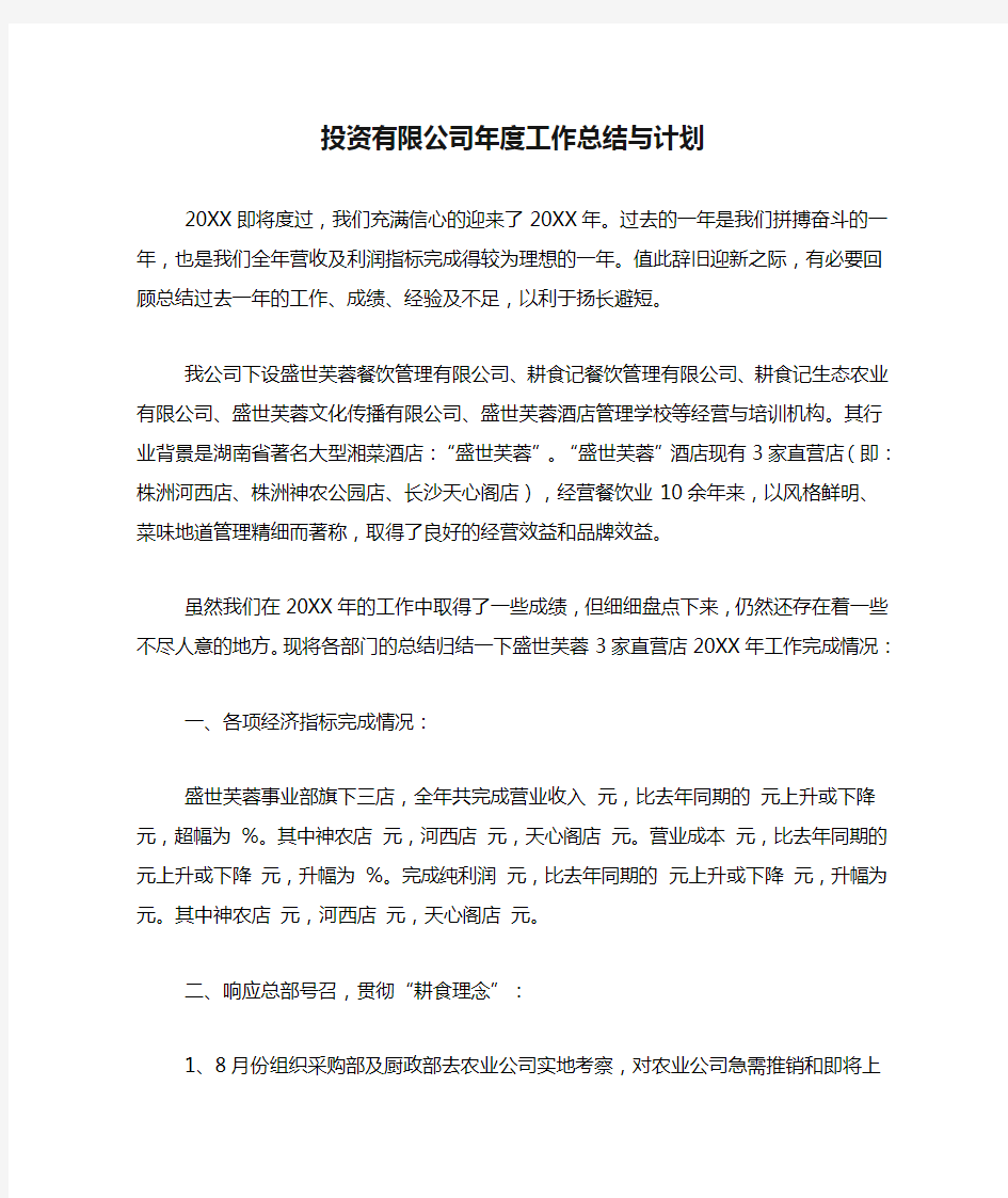 投资有限公司年度工作总结与计划