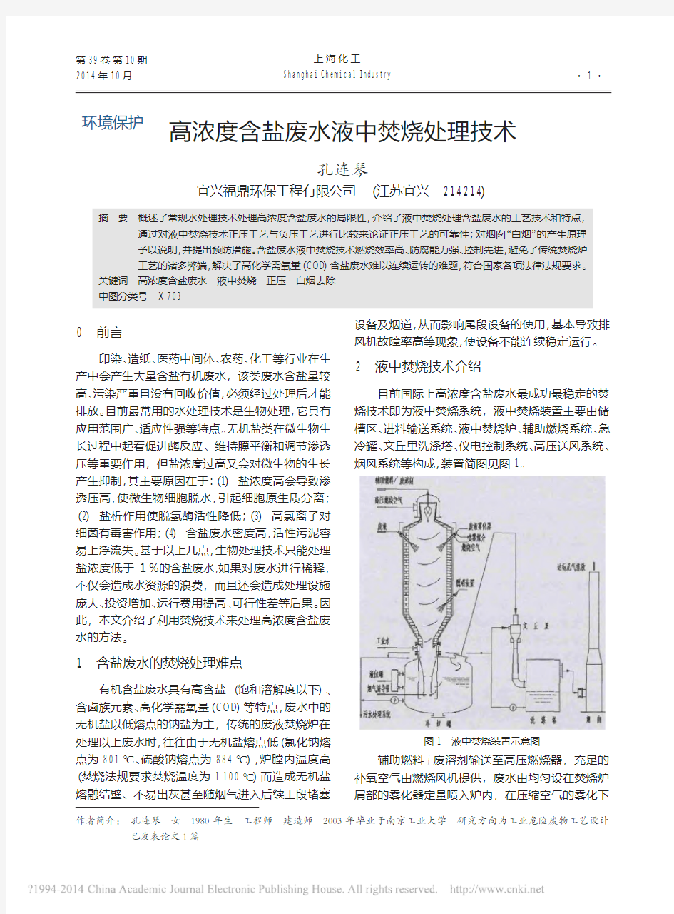 高浓度含盐废水液中焚烧处理技术_孔连琴