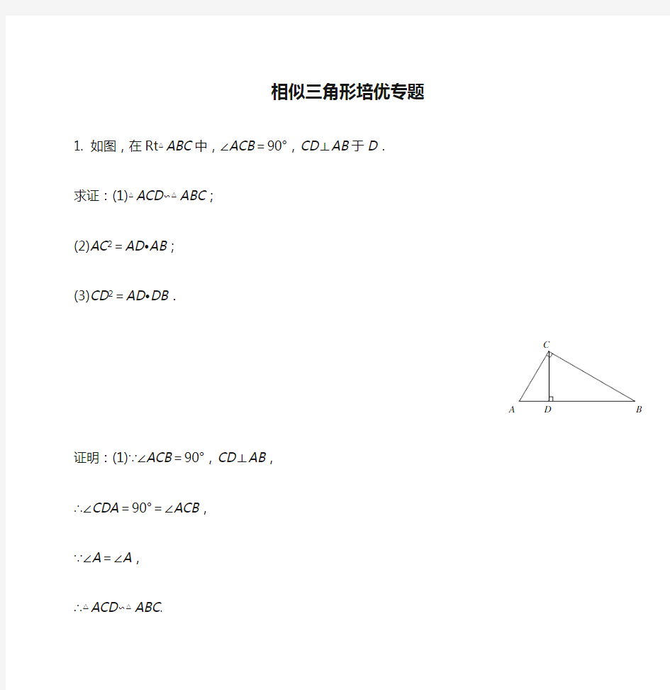 相似三角形培优专题