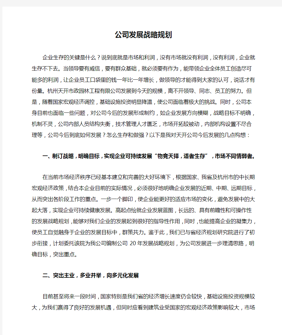 公司发展战略规划新