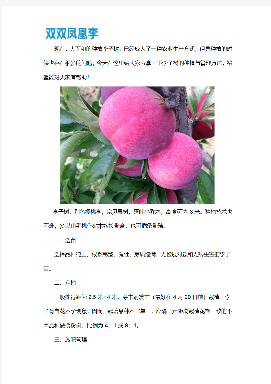 李子树的种植与管理方法