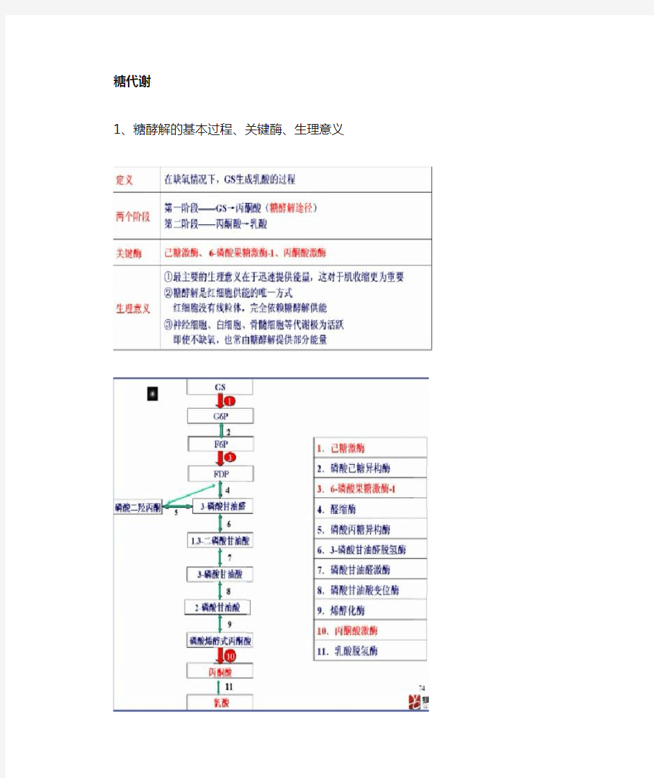 执业医师笔试手打笔记贺银成版生化