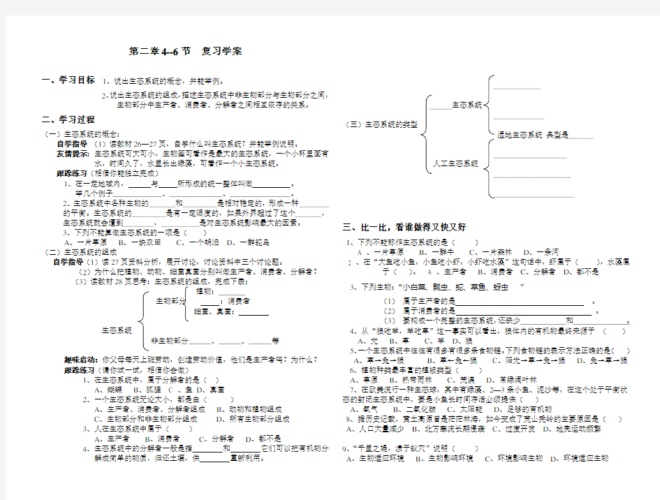 生态系统学案