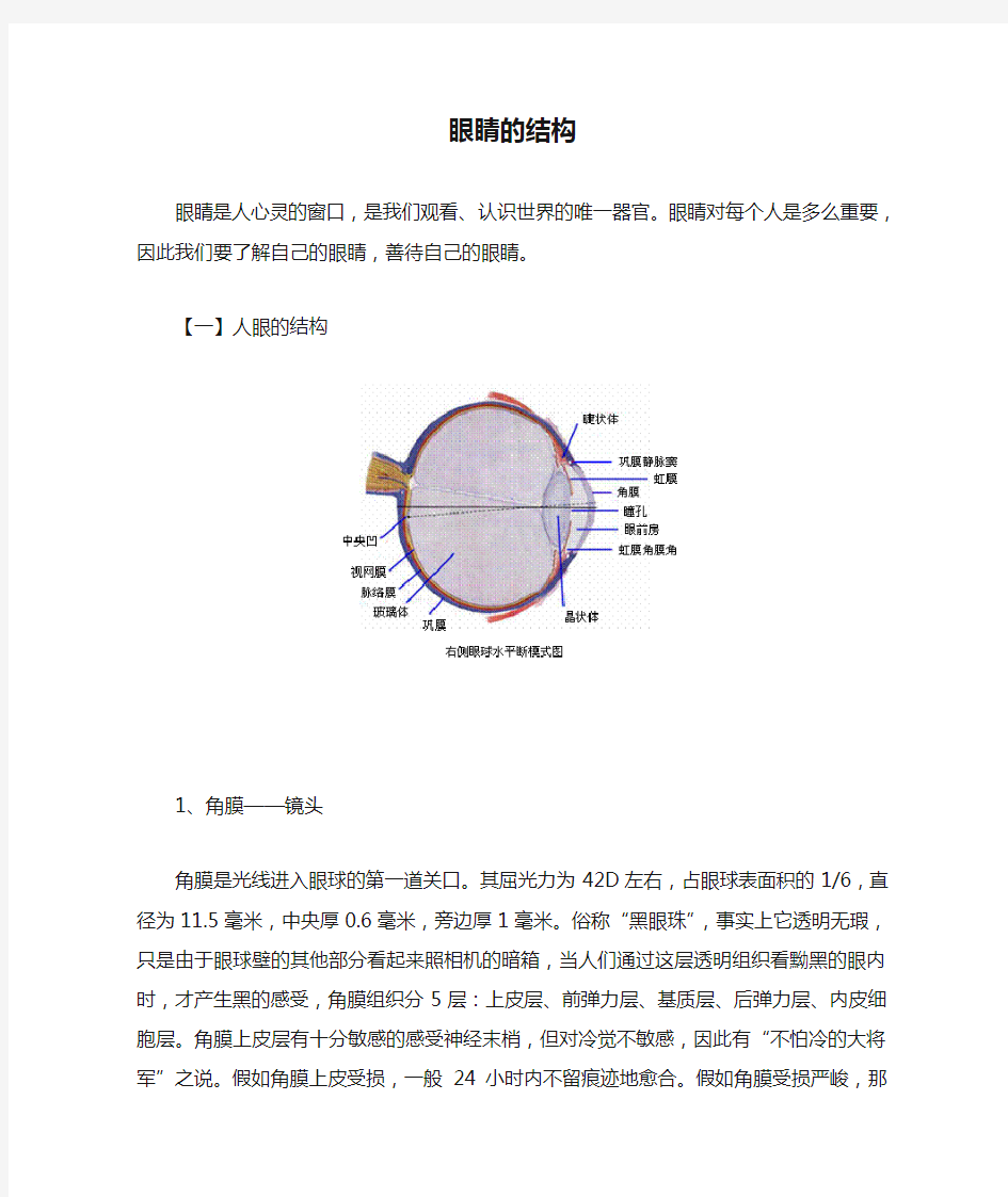 眼睛的结构