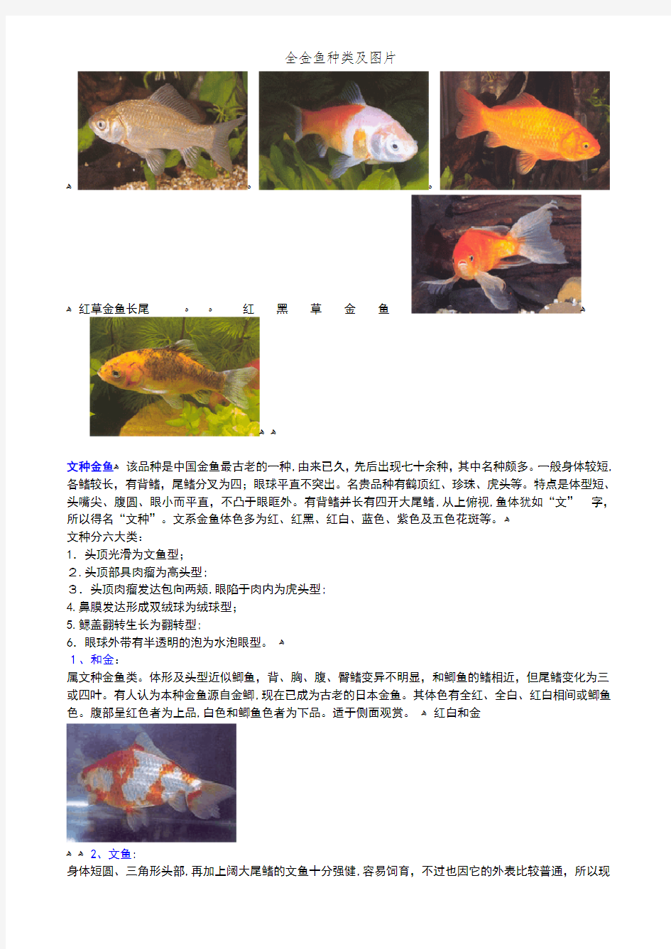 全金鱼种类及图片