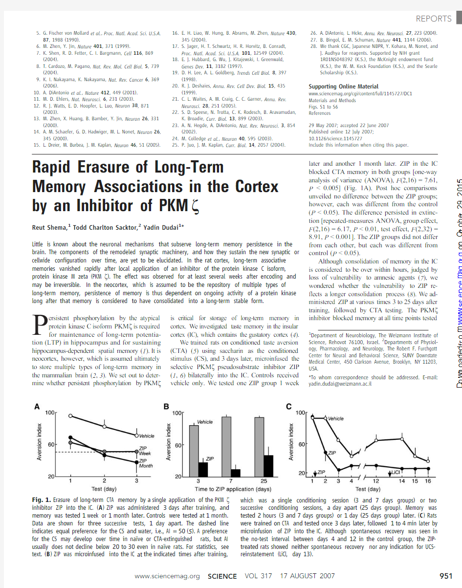 Rapid erasure of long-term memory associations in the cortex by an inhibitor of PKM zeta.