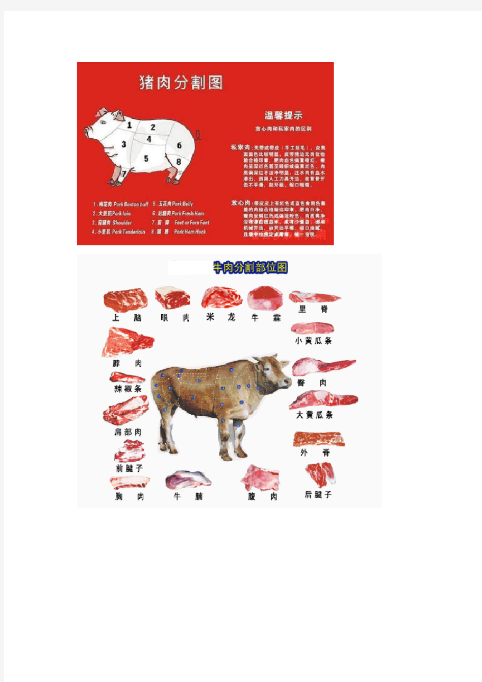 牛肉不同部位图解集锦