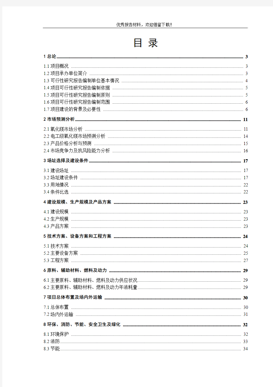 高温电工级氧化镁项目可行性研究报告