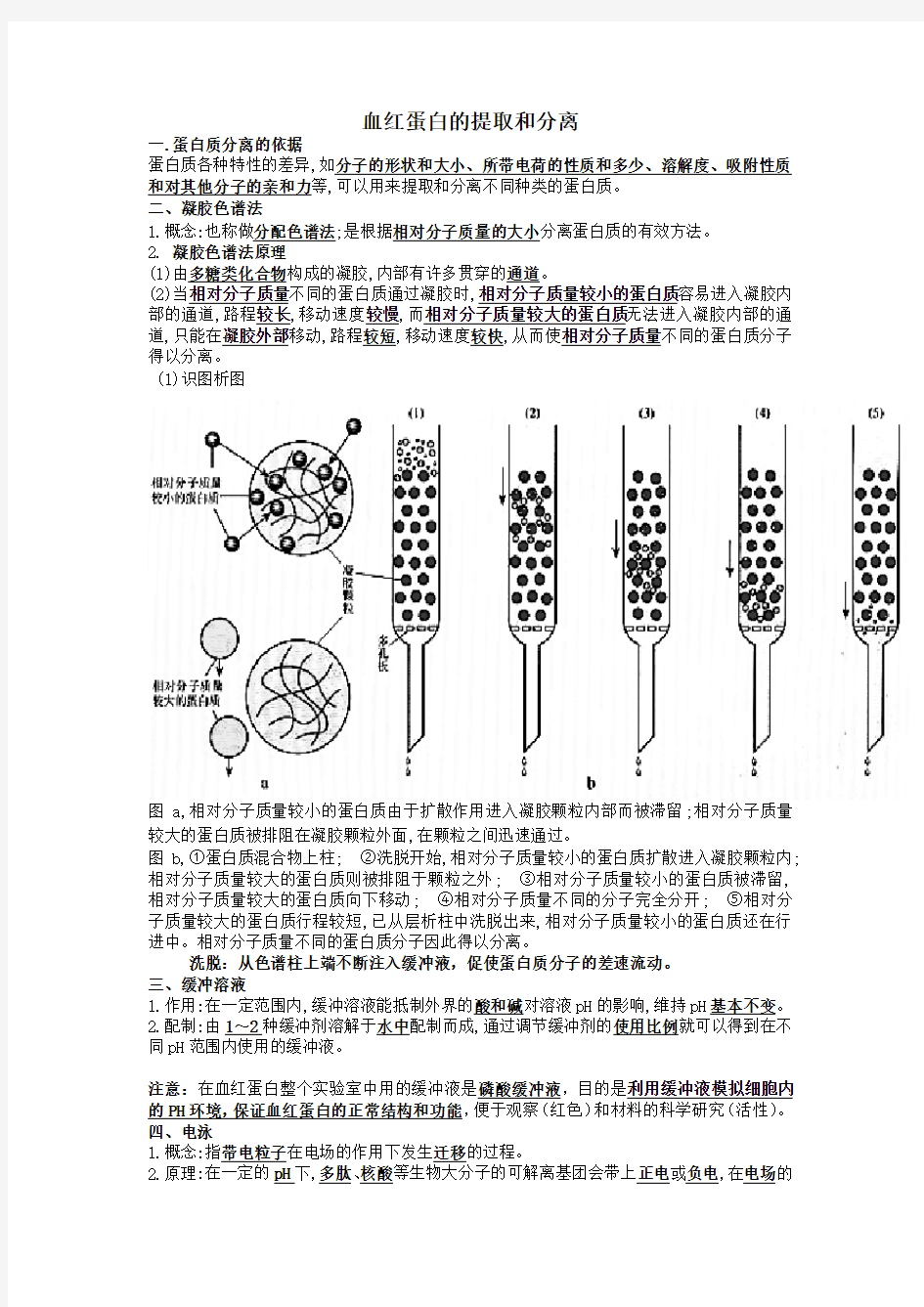 血红蛋白的提取和分离教案