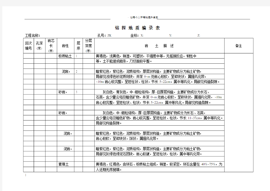 钻探地质编录表模板