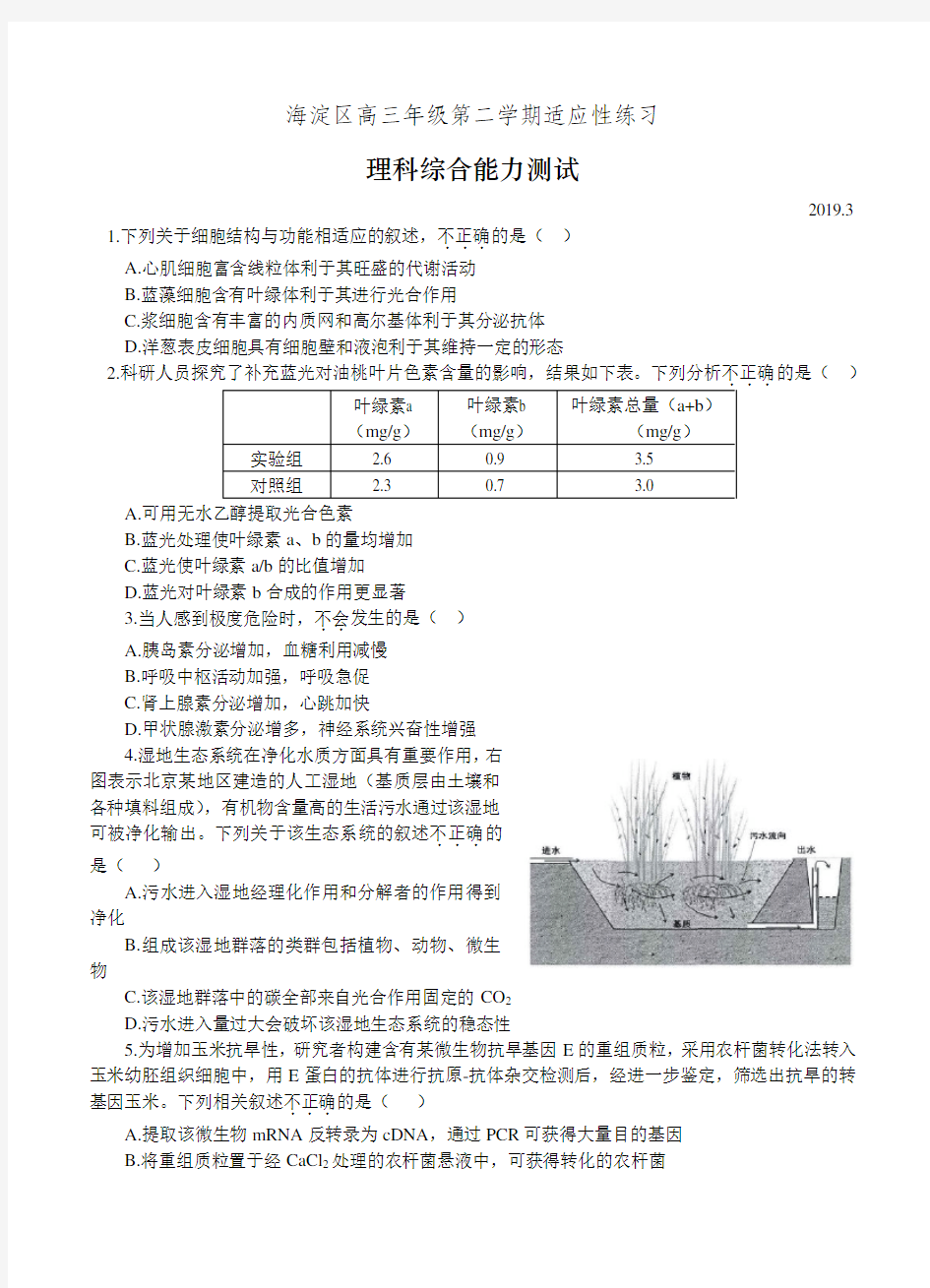 北京海淀区高三年级第二学期适应性练习(零模)理综生物试卷(带答案)