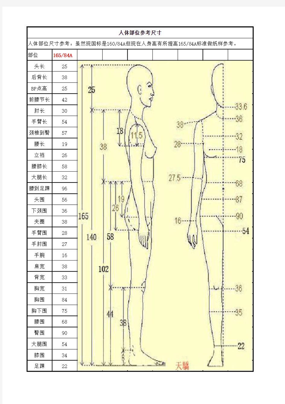 服装设计打版人体部位尺寸参考