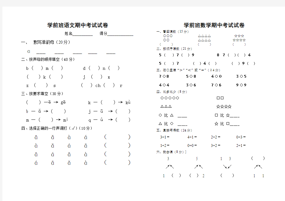 小学学前班上学期期中考试试卷