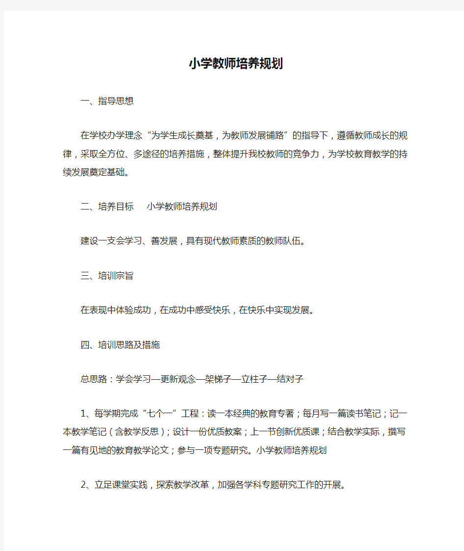 小学教师培养规划