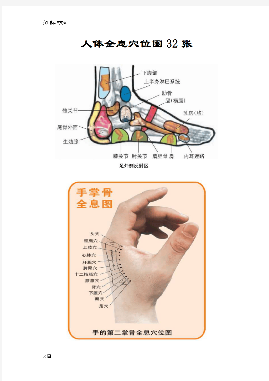 人体全息穴位图32张