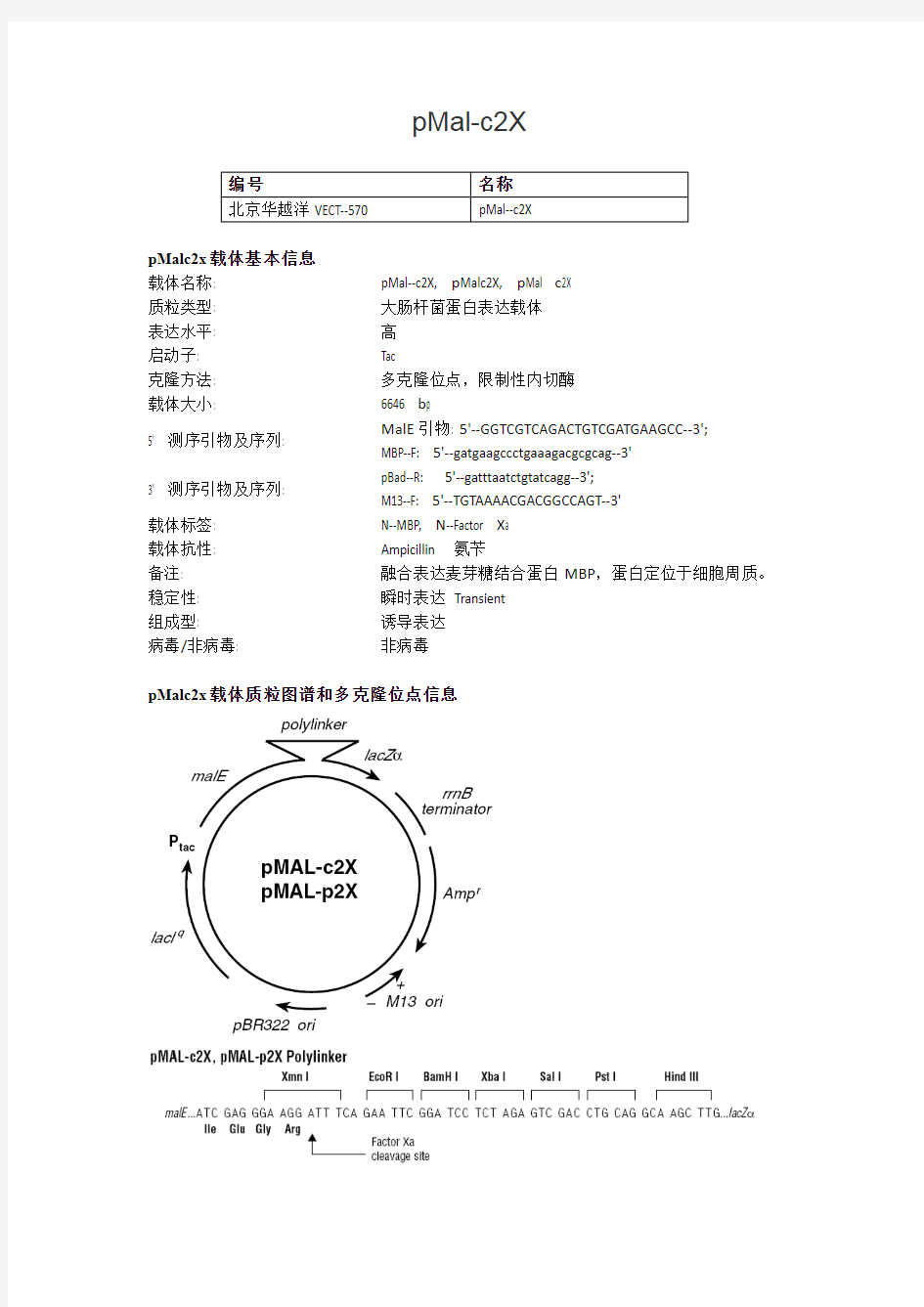 pMal c X大肠杆菌表达载体说明