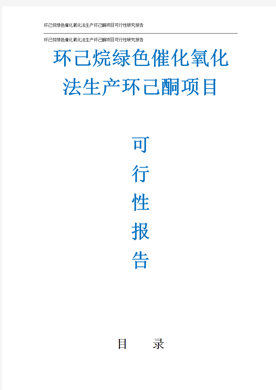 47页环己烷绿色催化氧化法生产环己酮项目可行性研究报告