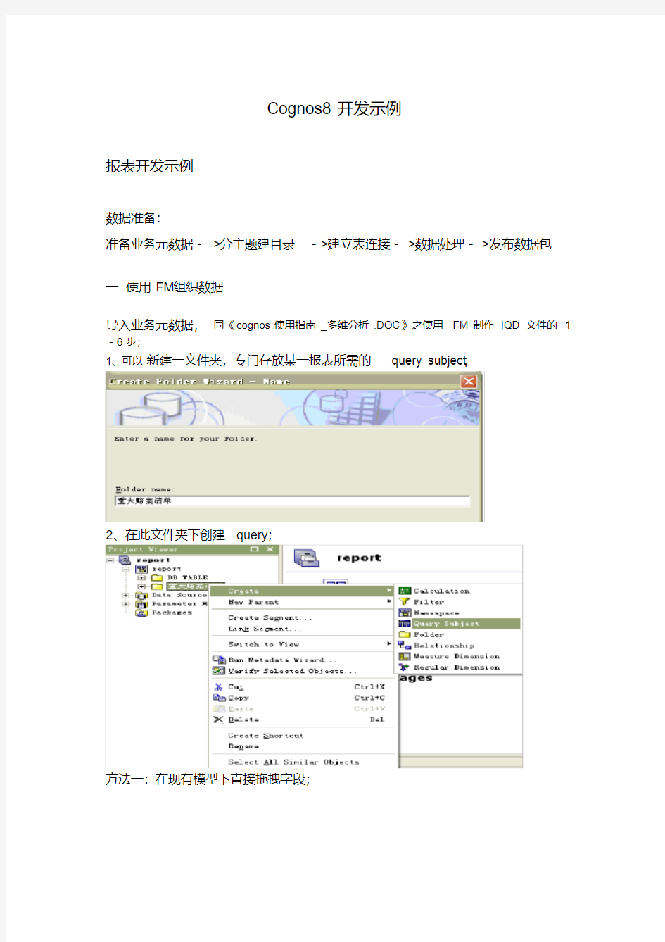 Cognos8开发示例