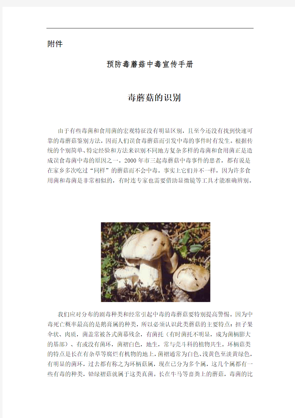 预防毒蘑菇中毒宣传手册簿