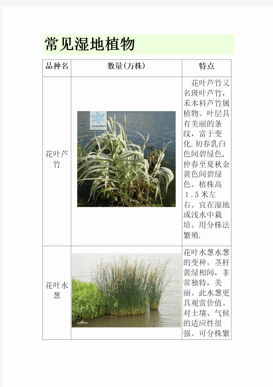 常见湿地植物[1]