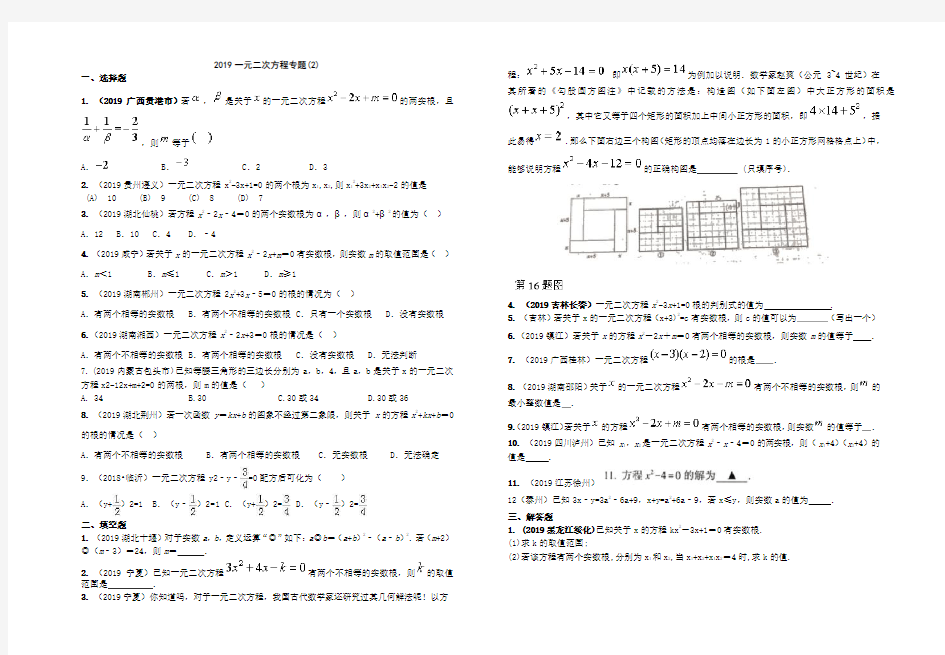 2019一元二次方程专题2