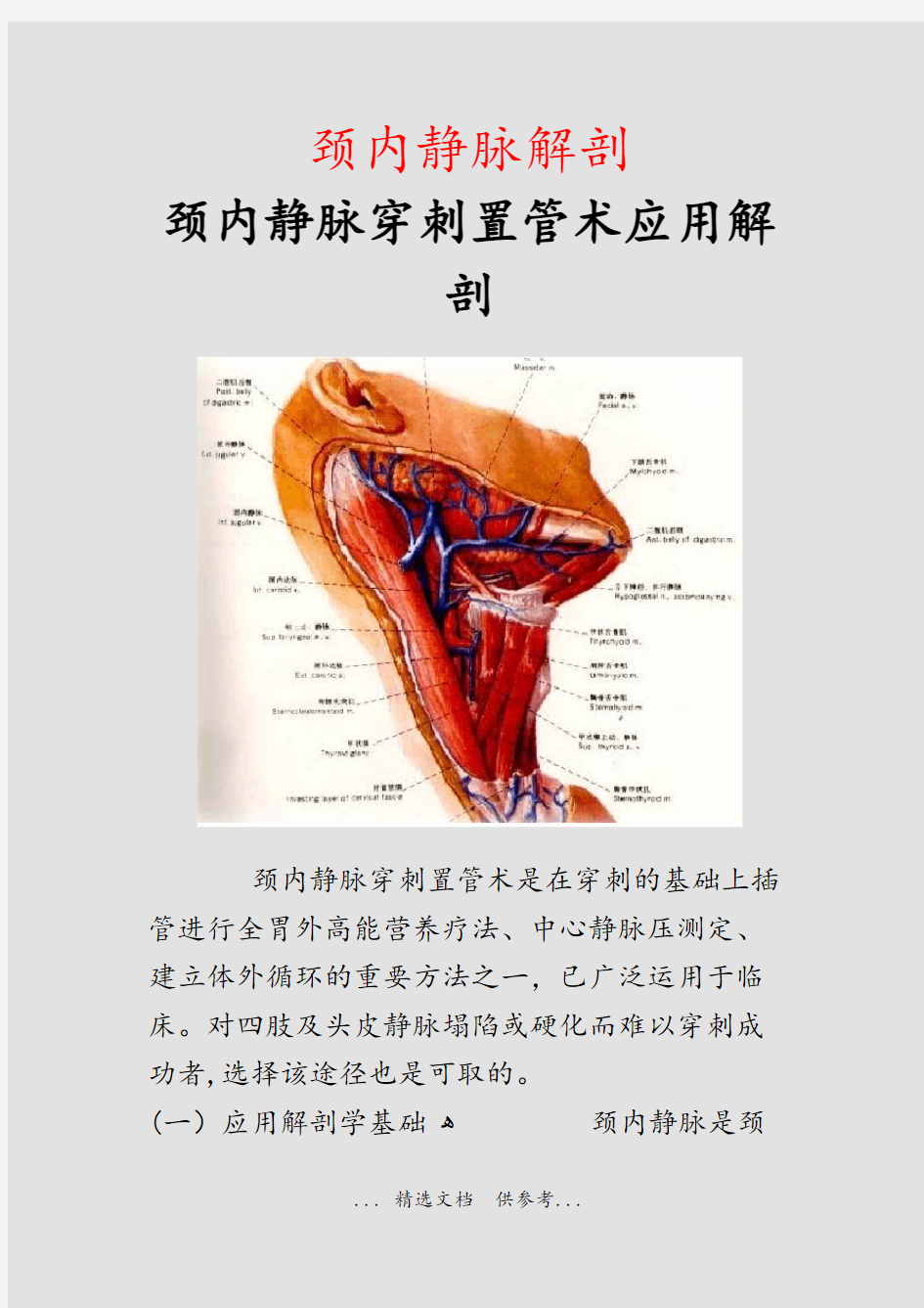 颈内静脉解剖(干货)