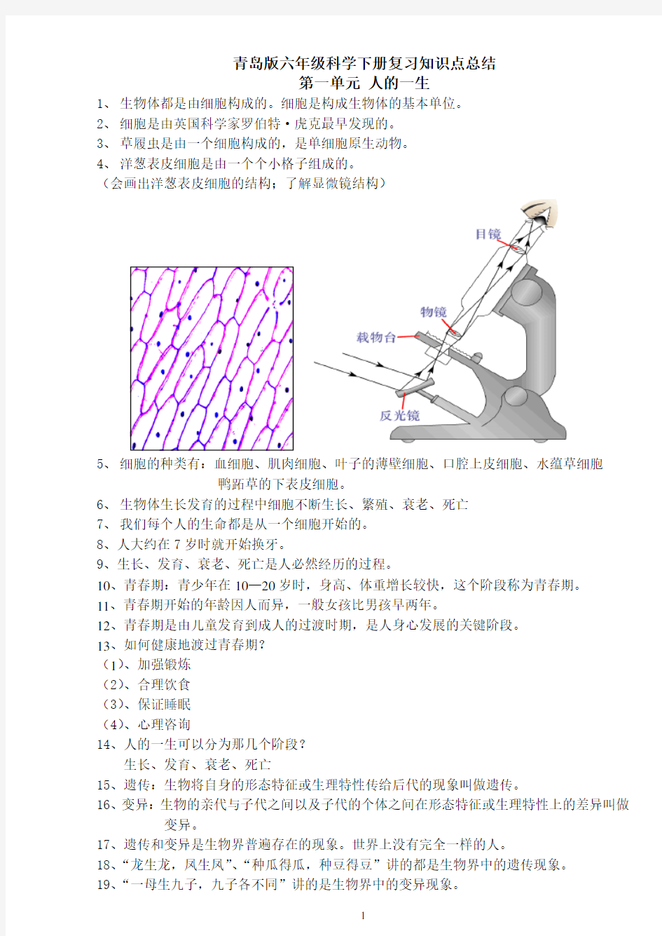 (完整)青岛版六年级下册科学(全册)知识点总结及试题,推荐文档