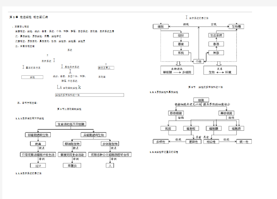人教版高中生物必修1概念图汇编