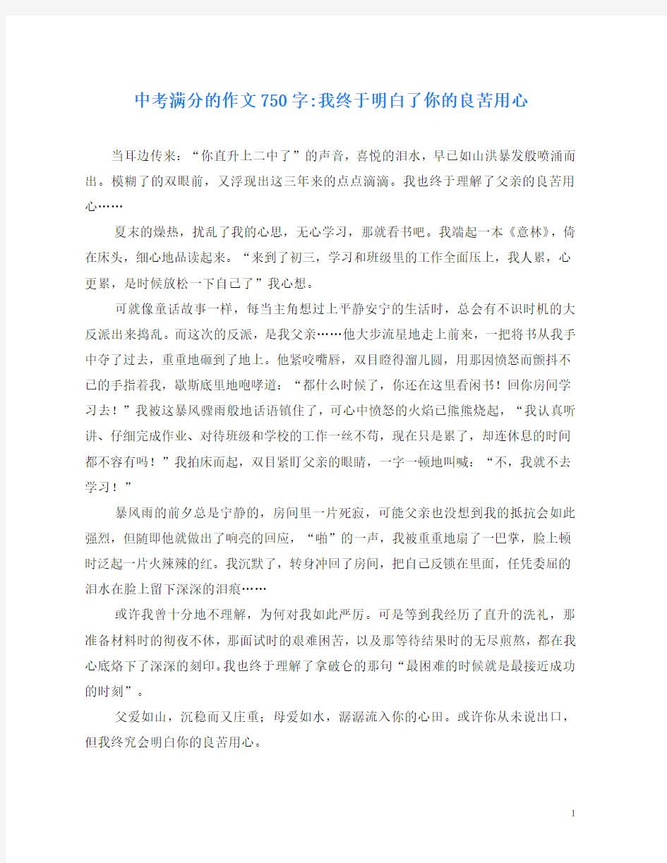 中考满分的作文750字-我终于明白了你的良苦用心