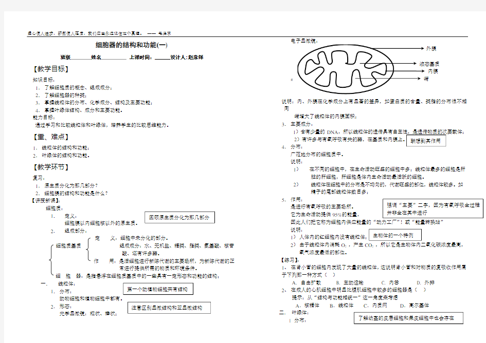 细胞器的结构和功能详解