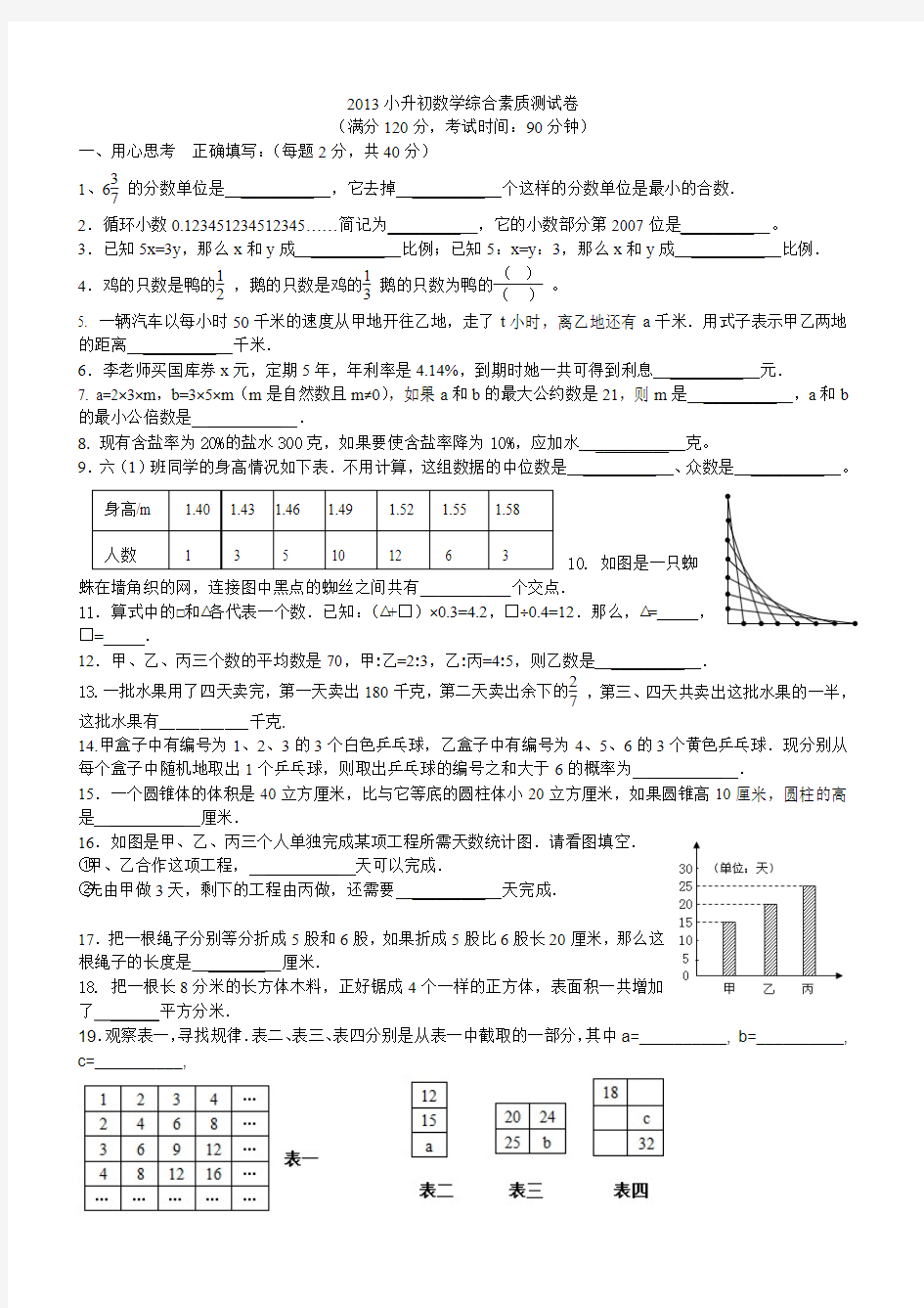 2013小升初数学综合素质测试卷