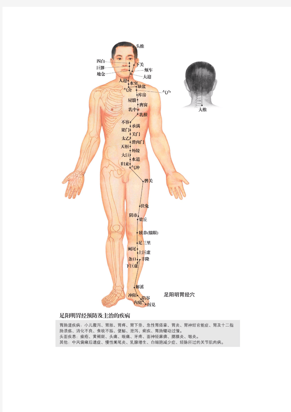 常用艾灸穴位彩色图(超清晰)