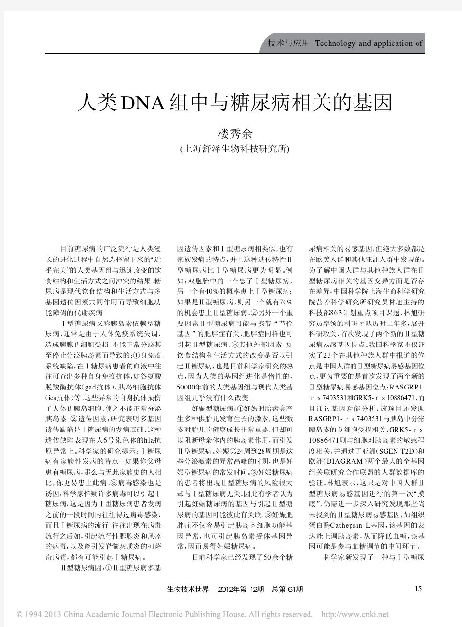 人类DNA组中与糖尿病相关的基因