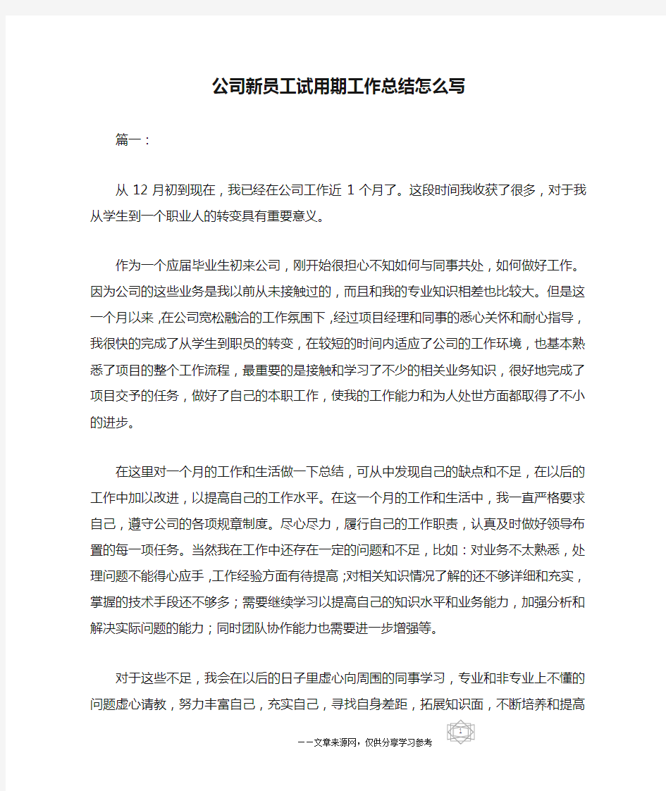 公司新员工试用期工作总结怎么写