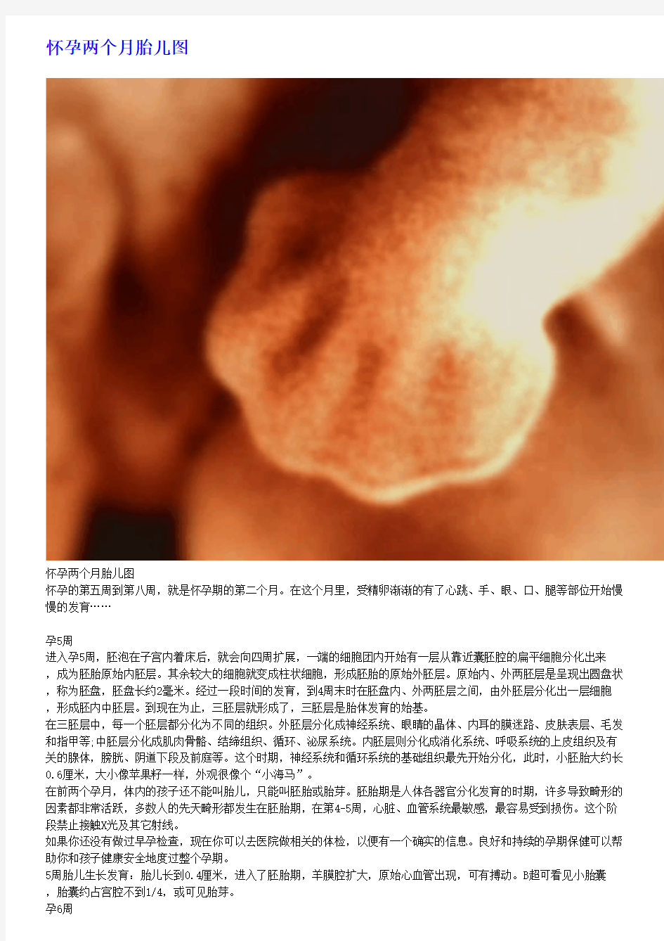 怀孕两个月胎儿图(pdf)