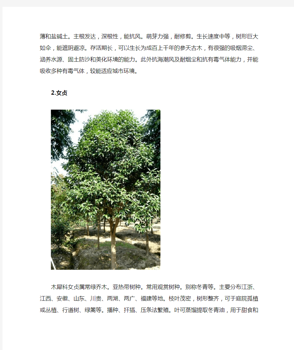 华东地区常见景观乔灌木及生长习性