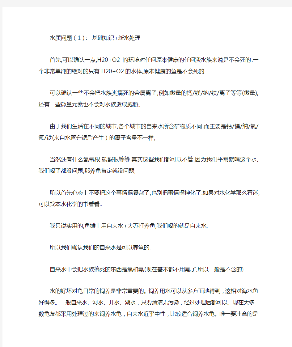 养龟应注意的水质