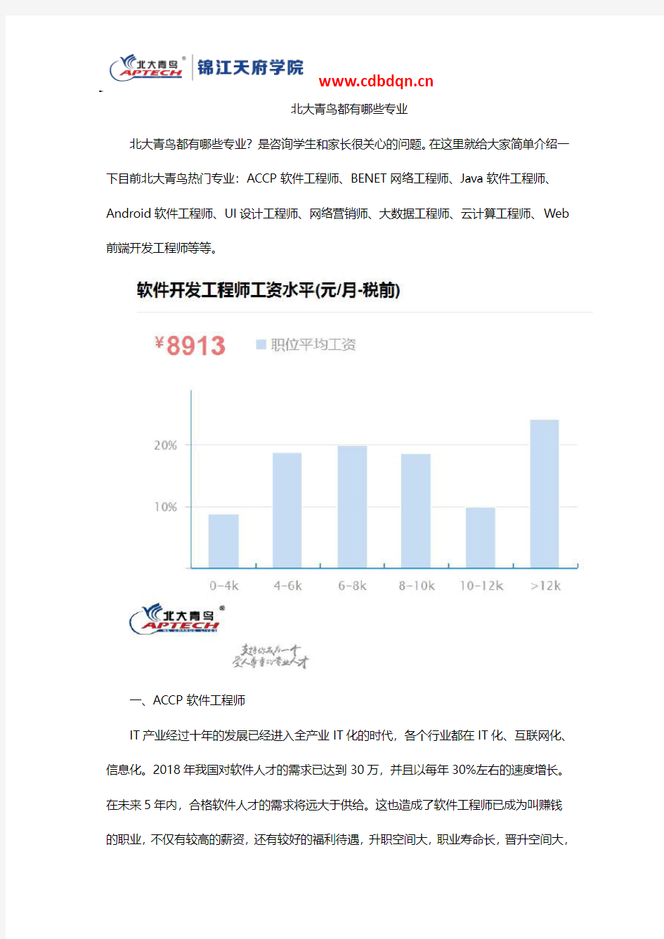 北大青鸟都有哪些专业