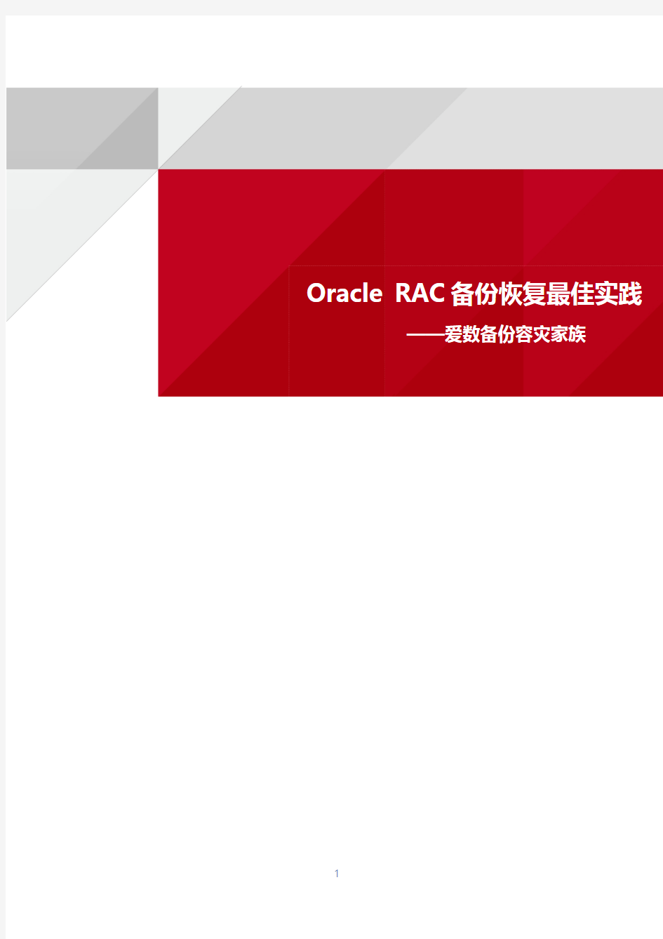 AnyBackup Oracle RAC备份与恢复最佳实践