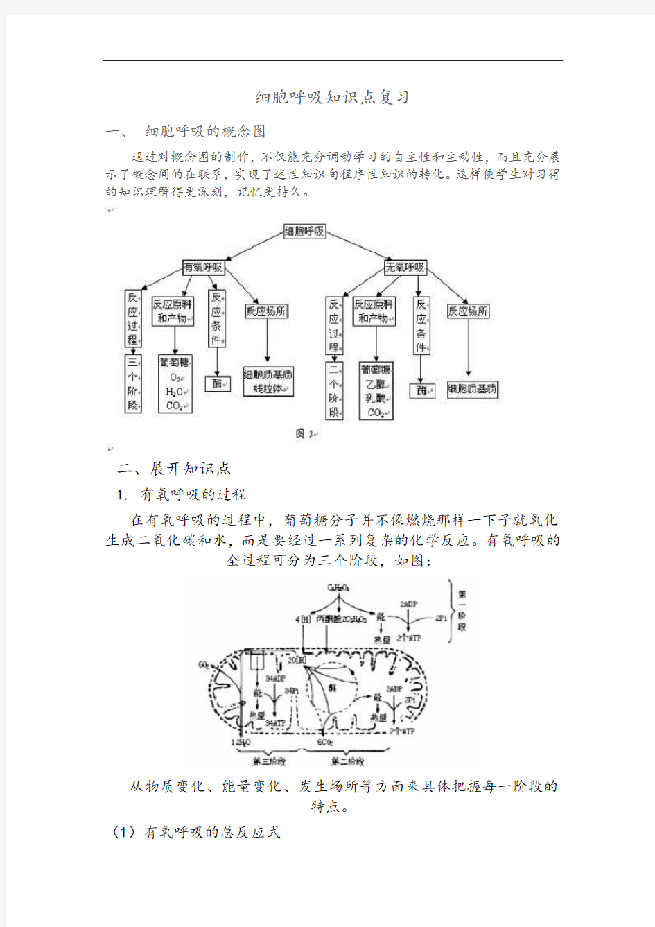 细胞呼吸知识点复习及问题详解